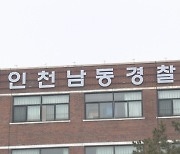 인천 아파트단지서 고양이 4마리 사체 발견…부검 의뢰