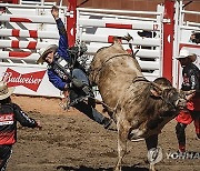 APTOPIX Calgary Stampede Rodeo