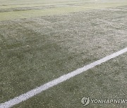 학부모 아파트서 월세 안 내고 거주 혐의…운동부 지도자 고발