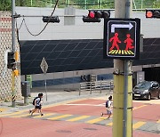 금천구, 통학로 횡단보도에 '보행자 자동인식 경고시스템'