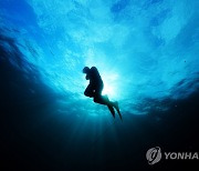 [제주소식] 고령해녀 수당 신청 접수