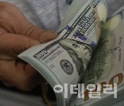 달러 수요-당국 스무딩 ‘팽팽’…장중 환율, 1380원 초중반대 보합권[외환분석]