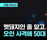 멧돼지인 줄 알고 '탕'…횡성서 동료 총에 맞은 50대 중태