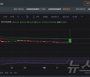 맵프로토콜, 하루 만에 270% '널뛰기'…소수가 '쥐락펴락'[특징코인]