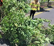 제주 한라산 삼각봉 초속 24.1m 거센 바람…산지에 강풍주의보