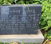 "일제 침탈 상징 '표지석', 울릉도서 수풀 속 방치돼"