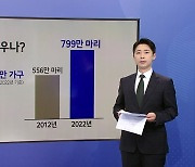 "댕댕이랑 어디까지 가봤어?" 반려견과 템플스테이 [앵커리포트]