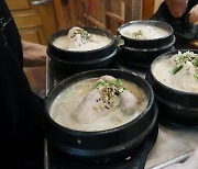 초복 앞둔 삼계탕, 평균 1만7천원… 냉면·김밥 또 ↑