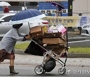 폐지 줍는 노인 전국에 1만5천여명…경기도 '2위'