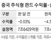 맥못추는 中펀드…15일 '3중전회'에 촉각