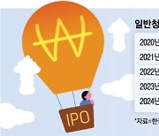 “새내기 덕에 몸집 불렸다”...‘따따블’ 제도 도입에 올해 1.3조 몰린 ‘이 펀드’