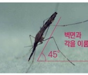 경기 구리 50대 여성 '말라리아' 확진…"평소 산에 자주 다녀"