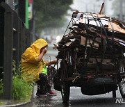 폐지 수집하는 고령자 전국 약 1만5천여명…평균연령 78세