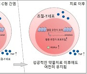 기초과학연구원, 'C형 간염 치료 후에도 염증성 질환 재발 우려'