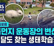 [D리포트] 생태체험공간으로 변신한 흙먼지 운동장…수달도 찾아와