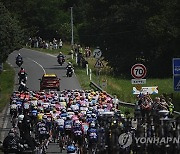 Cycling Tour de France