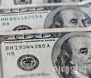 파월 실망감에 ‘강달러’…장중 환율, 1390원 위협[외환분석]