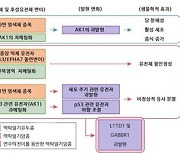 서울대병원, 소아 뇌종양 ‘맥락얼기종양’ 유전자 특성 규명