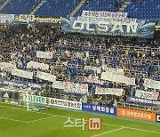 ‘축협의 개 MB’·‘명청한 행보’... 야유와 함께 “홍명보 나가!”