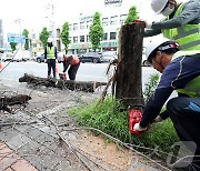 강진 마량 시간당 36.0㎜…광주·전남 오후까지 최대 20㎜ 더 내린다(종합)