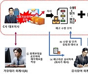 투자자 울린 순이익 `뻥튀기` 감사인에 금융당국 "직무정지 1년"