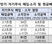 순항하는 '밸류업'...상반기 자사주 소각 190% 급증