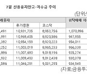 대형주 장세의 그림자...미수금 석 달 만에 1兆 돌파