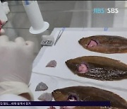 고수온 대비 양식어가 이동병원 운영