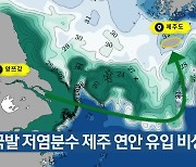 중국발 저염분수 제주 연안 유입 비상