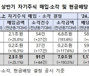 K-밸류업 효과…상장사 자사주 소각 전년 比 190%↑