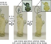 [쿠키과학]"100배 정밀하고 5배 빠르다" 기능성 3D 프린팅 소재 개발