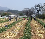 전남도, 폭염·영농철 대비 농업인 안전보험 최대 100% 지원