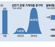 주담대 상반기에만 26조 늘어 '비상등'