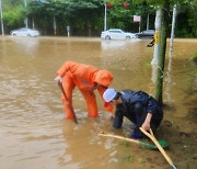 대구·경북 곳곳 집중호우로 '생채기'…비 피해 속출