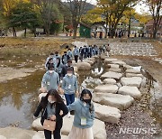 경북도, 청춘남녀 만남 주선 사업 매칭률 44% '대박'