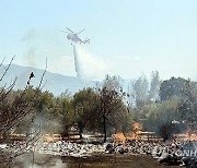 GREECE WILDFIRES