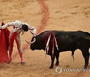 Spain Running of the Bulls