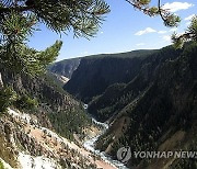 Yellowstone Shooting