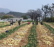 전남도, 농업인 안전보험 가입 권유…보험료 80% 지원