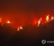 USA VISTA FIRE