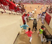 Spain Running of the Bulls