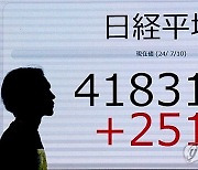 JAPAN STOCK AVERAGE RECORD