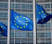 EU, 성인물 사이트 XNXX '강력규제 플랫폼' 추가