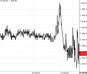 원·달러 환율 0.5원 오른 1384.0원 마감