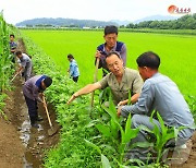 노동신문 "이상기후 영향으로부터 농작물 보호에 만전을"