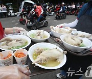 체감 최고 33도 무더위에 곳곳 소나기…제주 장맛비[내일날씨]