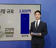 갤럭시 z플립6, 링 등 [앵커리포트]