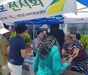 “태안 27개 해수욕장에 ‘바가지’ 없다”…군소비자보호센터 활동