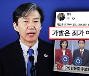 "가발은 죄 아니다, 코미디!" 조국도 낚은 '가짜뉴스'