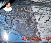 "아기 살려주세요" 음주 차량에 받혀 전복된 임신부 절규